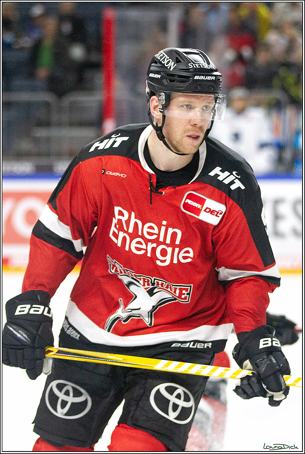 PENNY DEL;  Koelner Haie - Straubing Tigers; Koeln, 15.10.2021